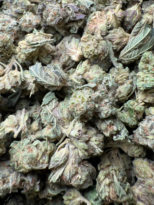 1 Pound - Jokers Runtz THCA Strain (Small) Frisco Labs