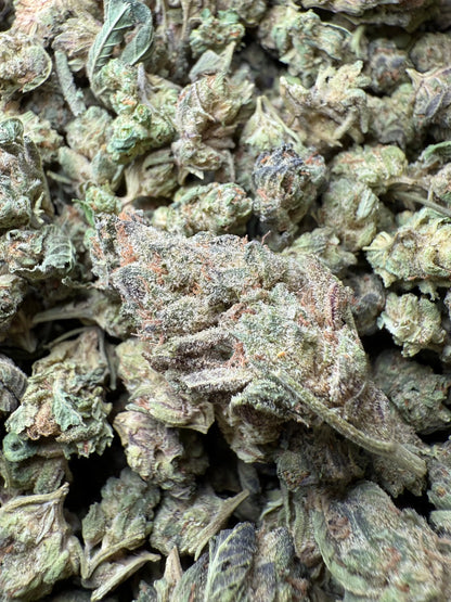 1 Pound - Jokers Runtz THCA Strain (Small) Frisco Labs