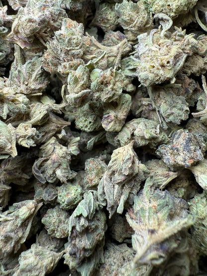 1 Pound - Jokers Runtz THCA Strain (Small) Frisco Labs