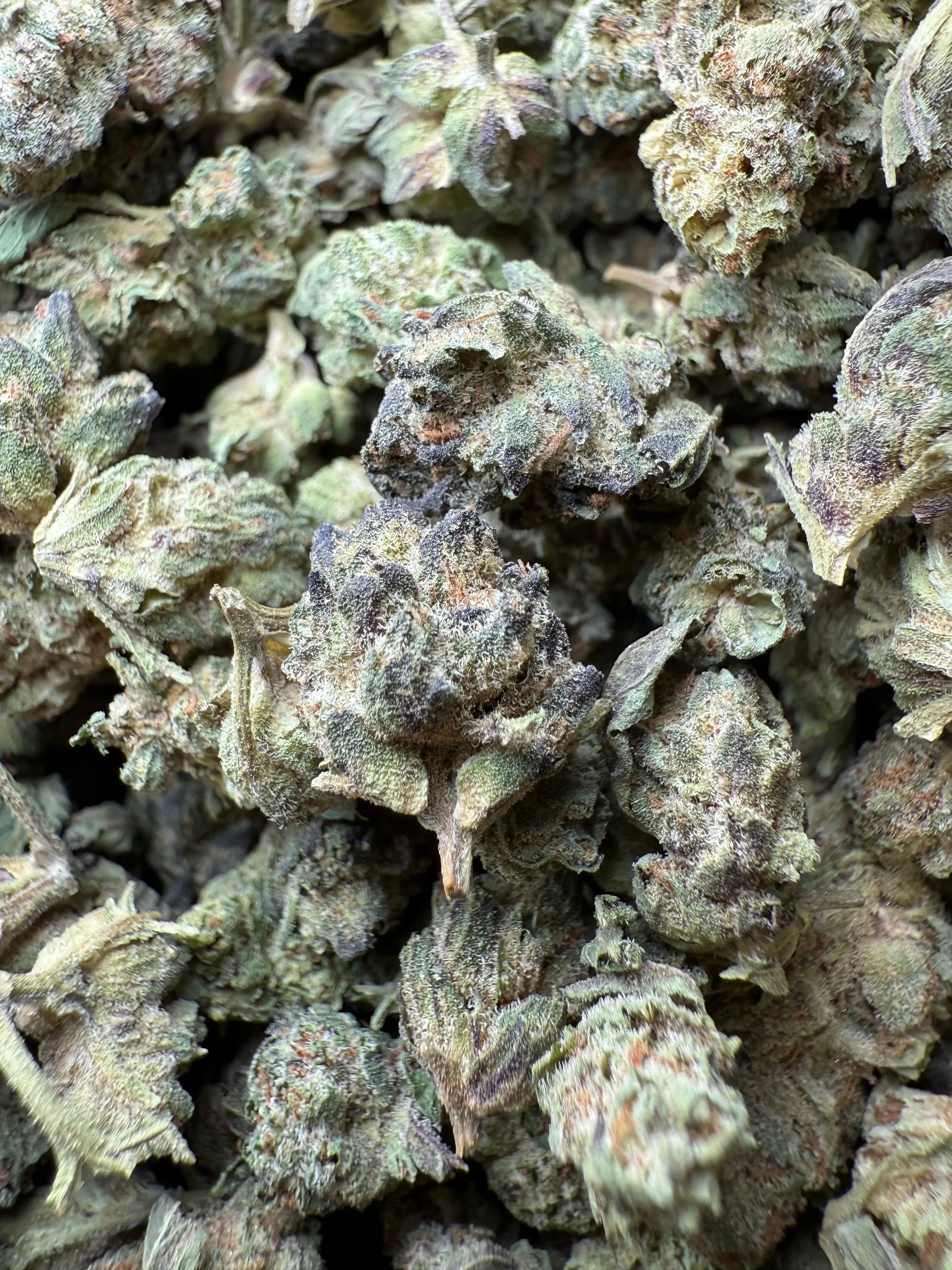 1 Pound - Jokers Runtz THCA Strain (Small) Frisco Labs