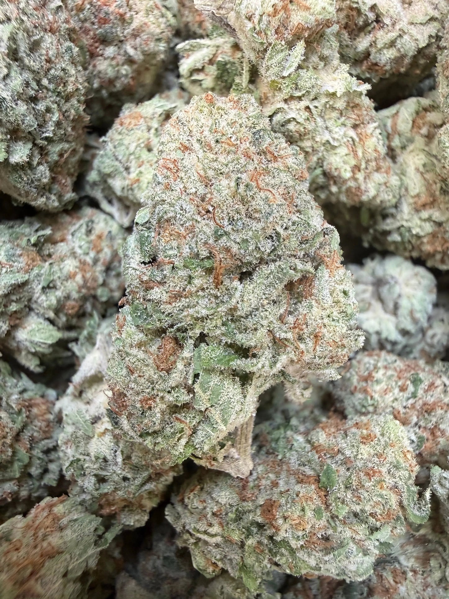 1 Pound -  Jungle Juice THCA Strain Frisco Labs