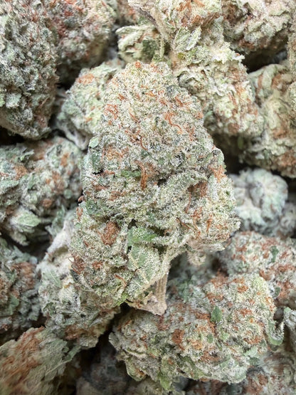 1 Pound -  Jungle Juice THCA Strain Frisco Labs