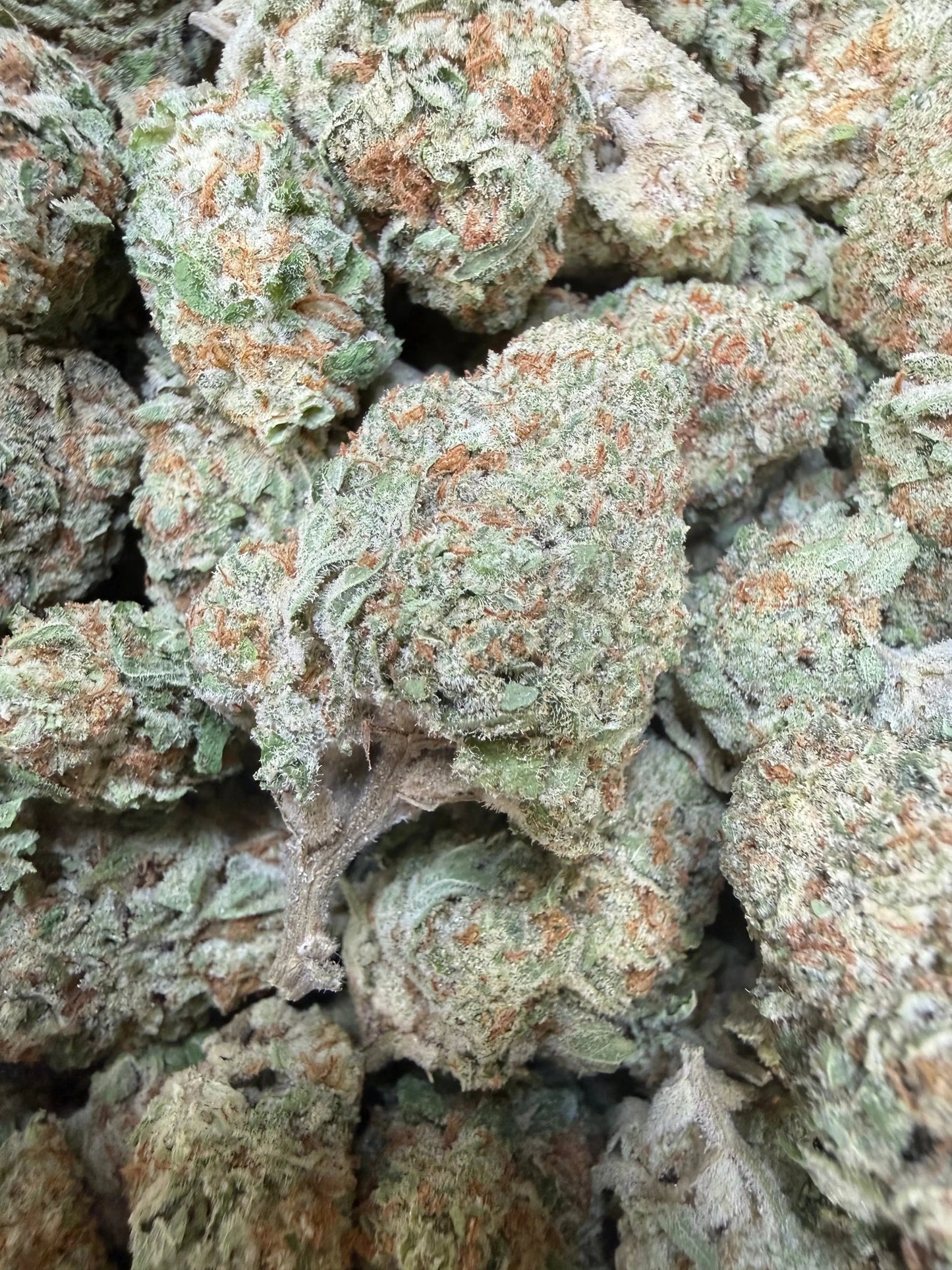 1 Pound -  Jungle Juice THCA Strain Frisco Labs