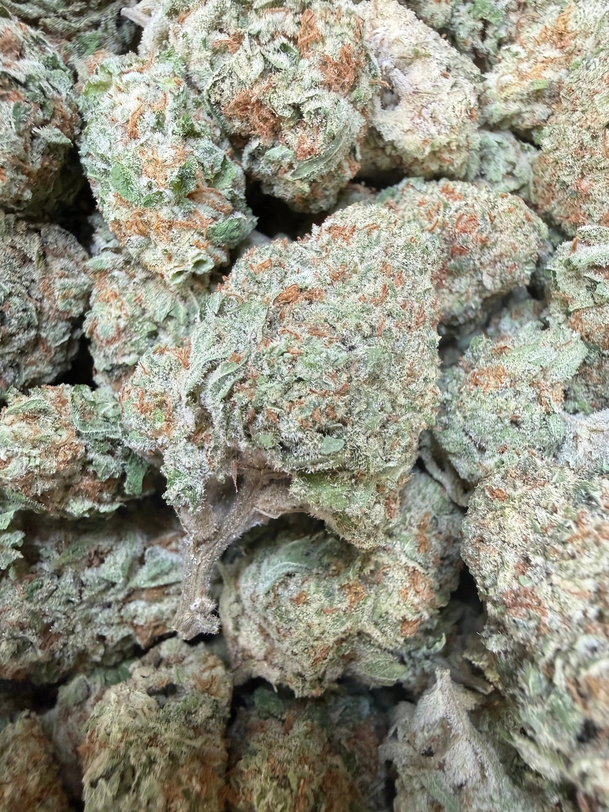 1 Pound -  Jungle Juice THCA Strain Frisco Labs