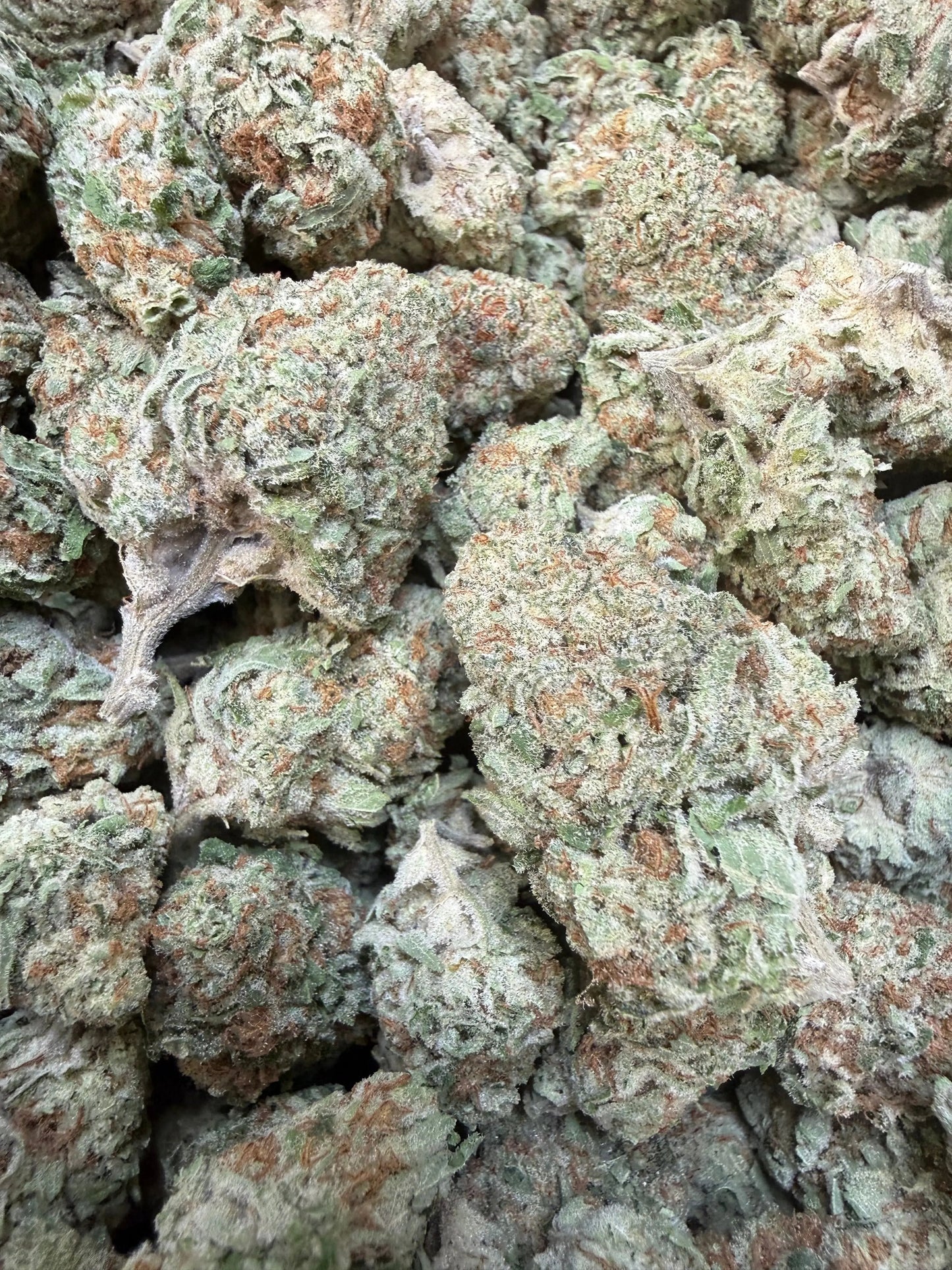 1 Pound -  Jungle Juice THCA Strain Frisco Labs