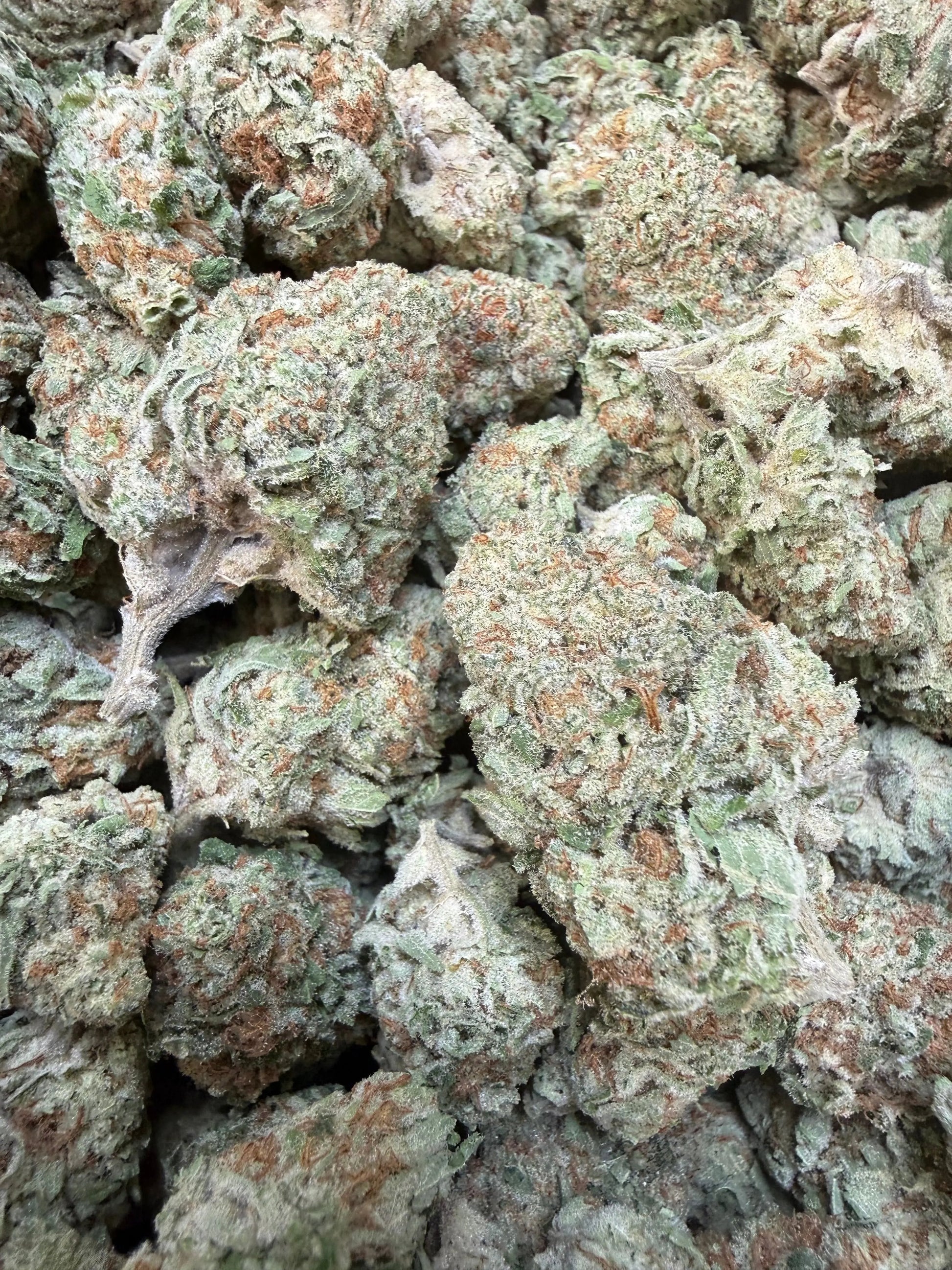 1 Pound -  Jungle Juice THCA Strain Frisco Labs