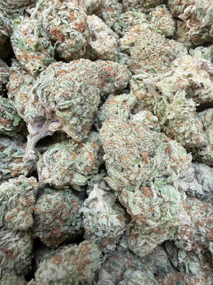 1 Pound -  Jungle Juice THCA Strain Frisco Labs