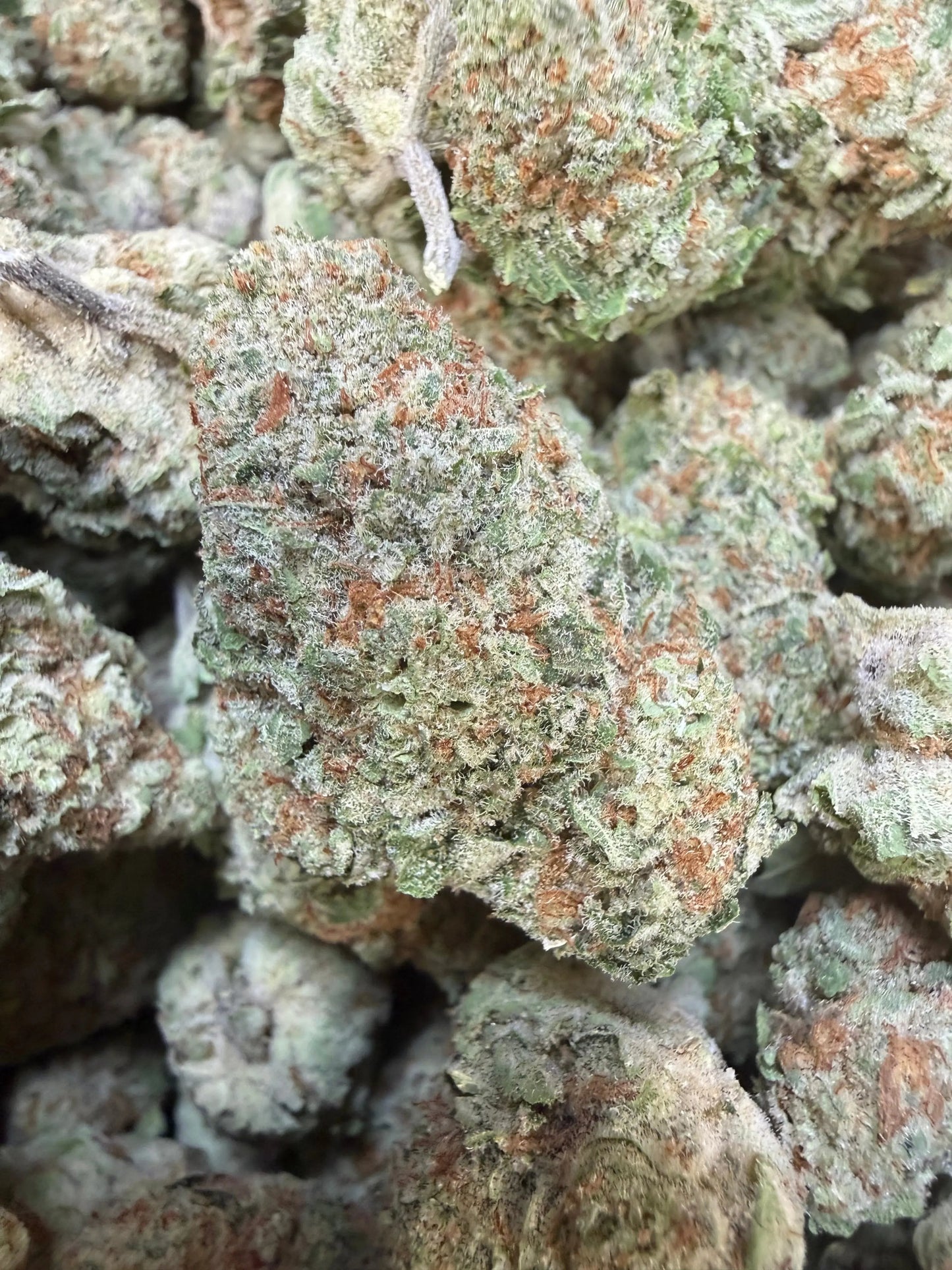 1 Pound -  Jungle Juice THCA Strain Frisco Labs