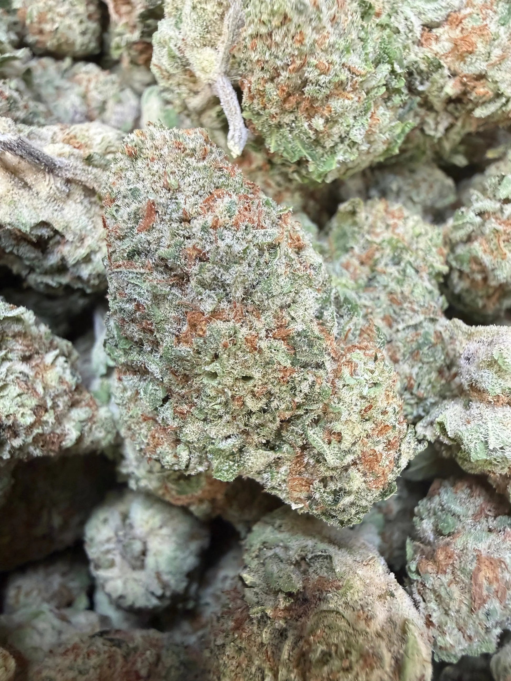 1 Pound -  Jungle Juice THCA Strain Frisco Labs