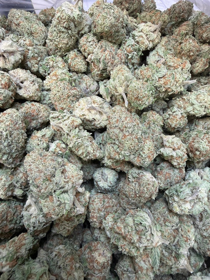 1 Pound -  Jungle Juice THCA Strain Frisco Labs