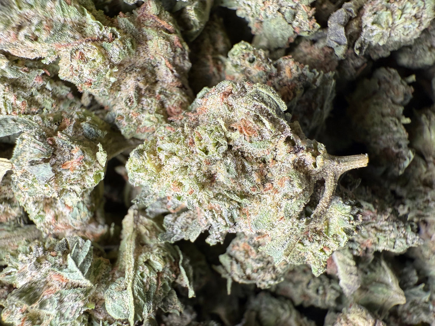 1 Pound - King Bling THCA Strain (Small) Frisco Labs