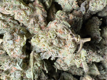 1 Pound - King Bling THCA Strain (Small) Frisco Labs