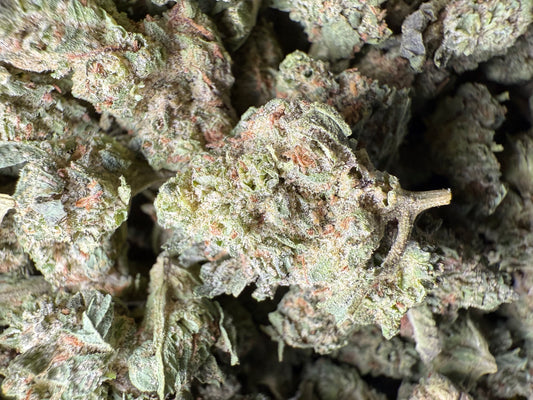 1 Pound - King Bling THCA Strain (Small) Frisco Labs