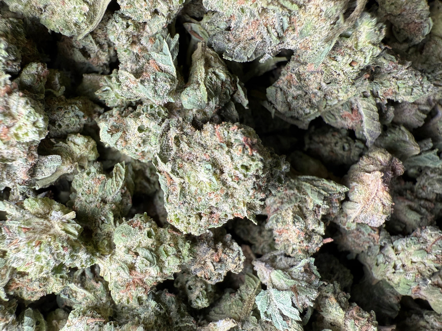 1 Pound - King Bling THCA Strain (Small) Frisco Labs