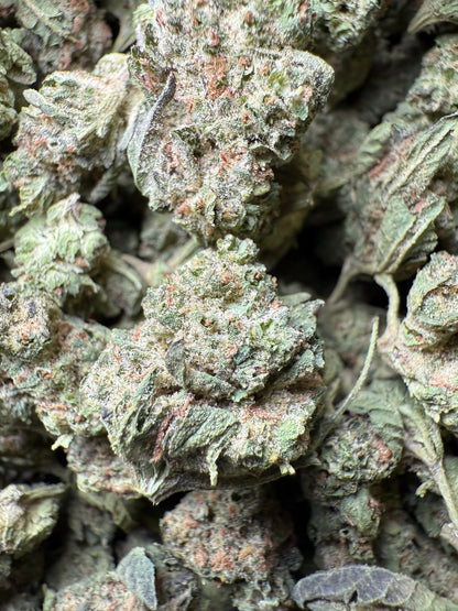 1 Pound - King Bling THCA Strain (Small) Frisco Labs