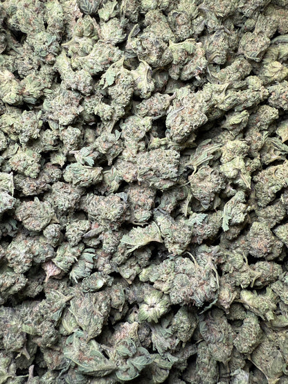 1 Pound - King Bling THCA Strain (Small) Frisco Labs