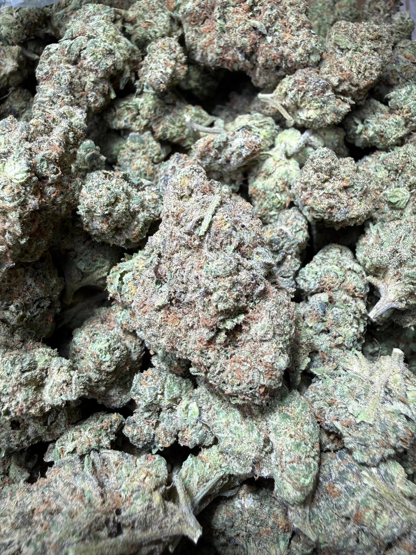 1 Pound - King Bling THCA Strain Frisco Labs