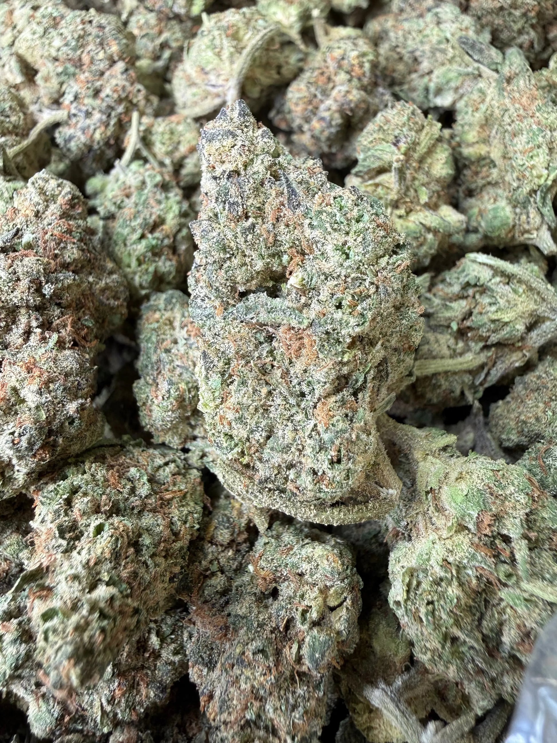 1 Pound - King Bling THCA Strain Frisco Labs