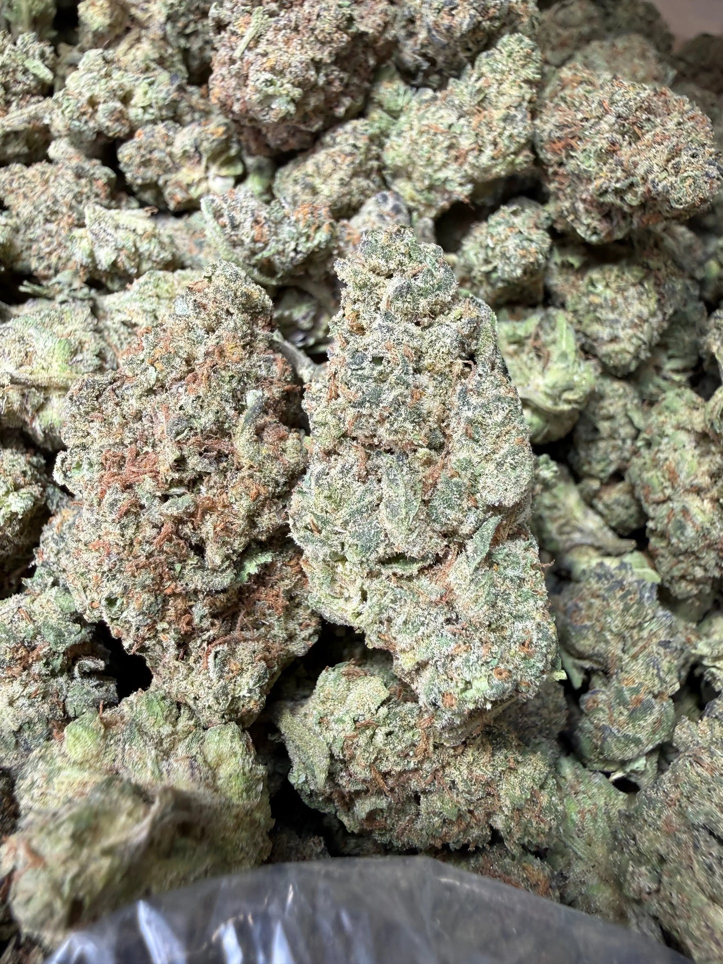 1 Pound - King Bling THCA Strain Frisco Labs