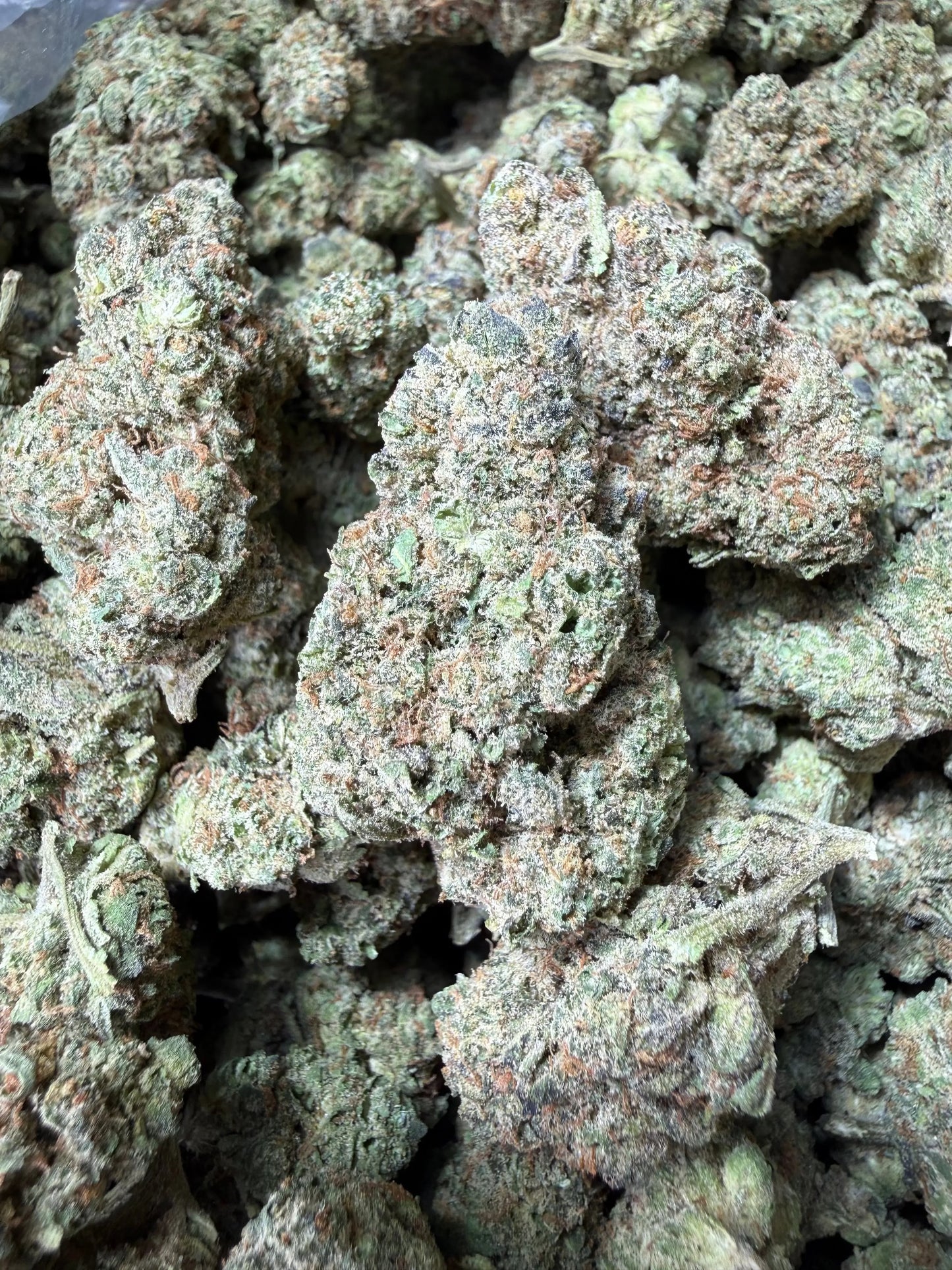 1 Pound - King Bling THCA Strain Frisco Labs