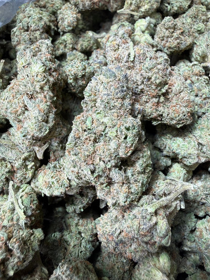 1 Pound - King Bling THCA Strain Frisco Labs