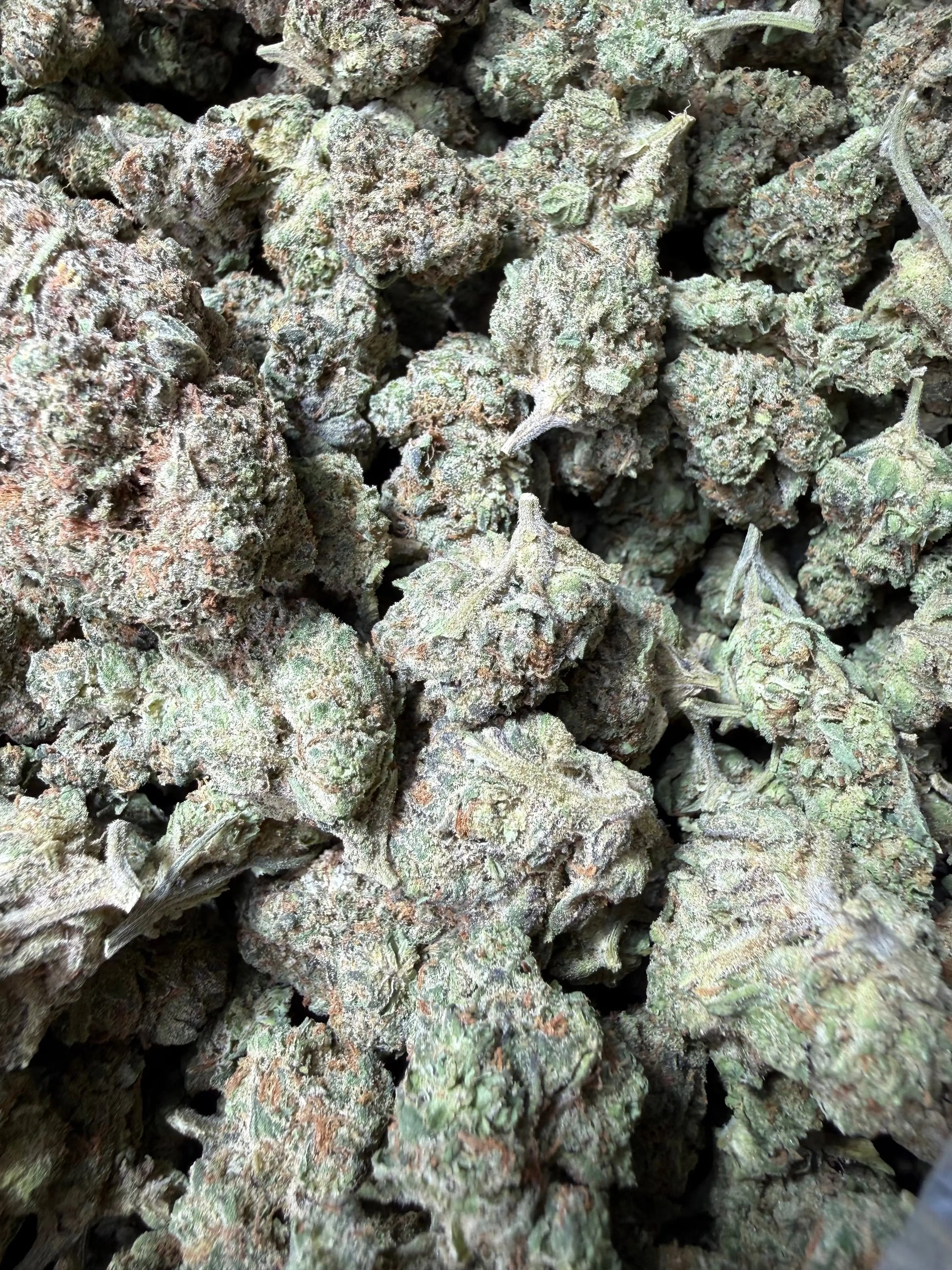 1 Pound - King Bling THCA Strain Frisco Labs