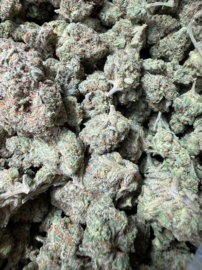 1 Pound - King Bling THCA Strain Frisco Labs