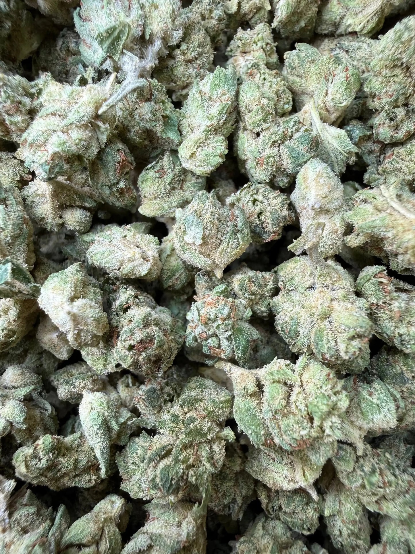 1 Pound -  Graff Gazz THCA Strain Frisco Labs