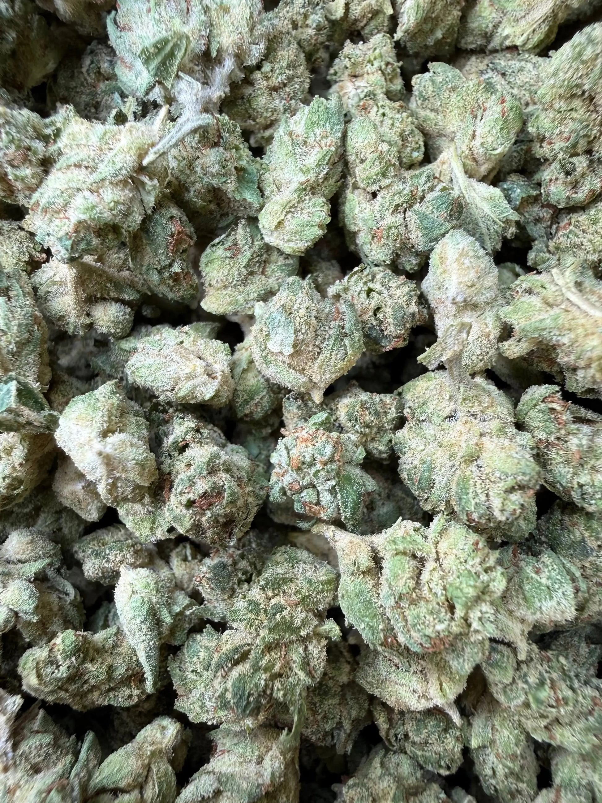 1 Pound -  Graff Gazz THCA Strain Frisco Labs