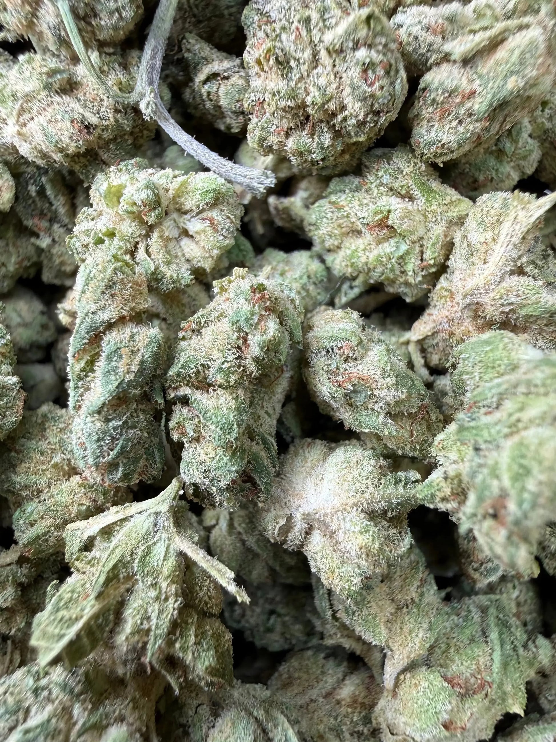 1 Pound -  Graff Gazz THCA Strain Frisco Labs