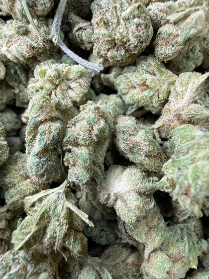 1 Pound -  Graff Gazz THCA Strain Frisco Labs