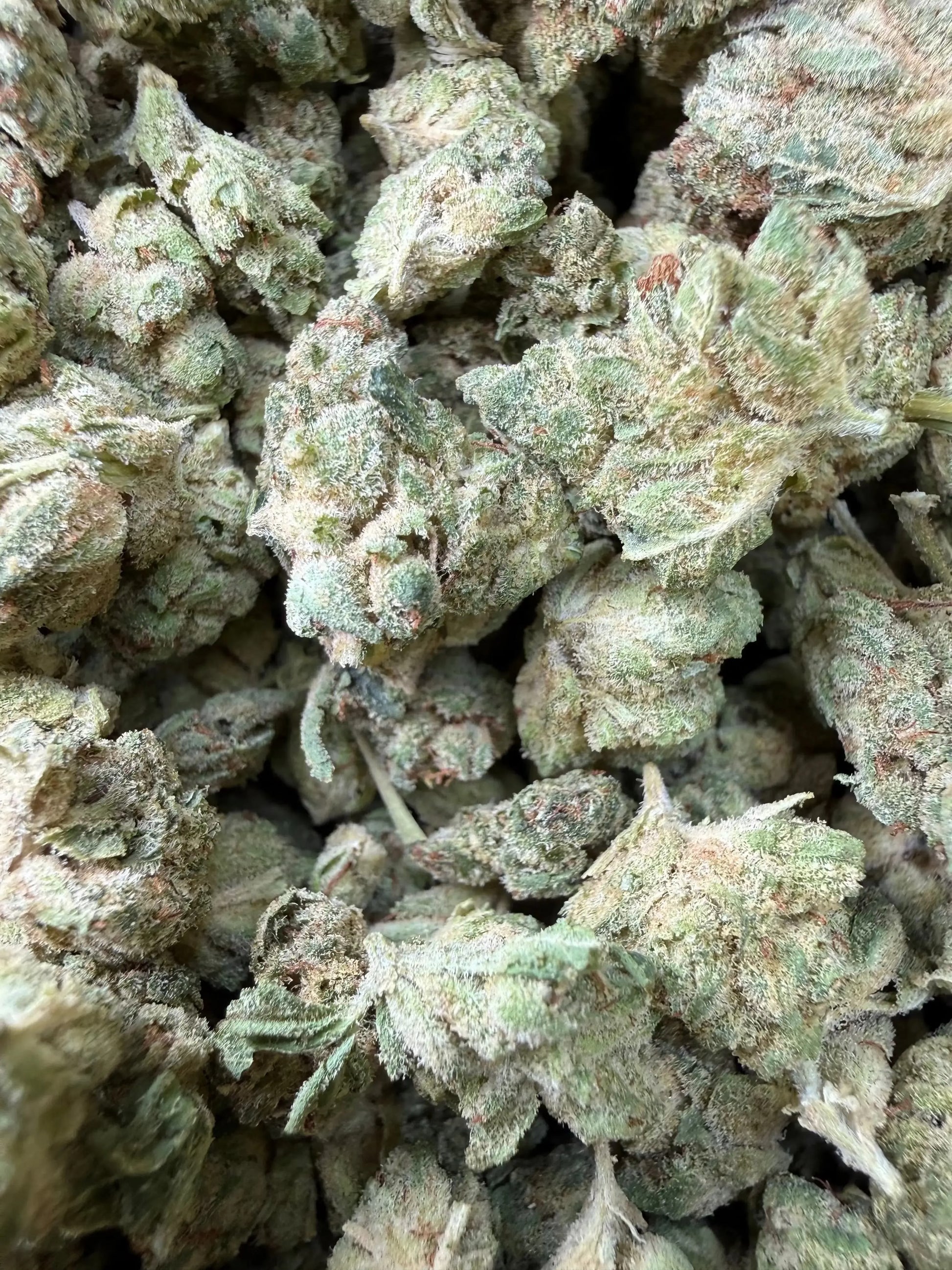 1 Pound -  Graff Gazz THCA Strain Frisco Labs