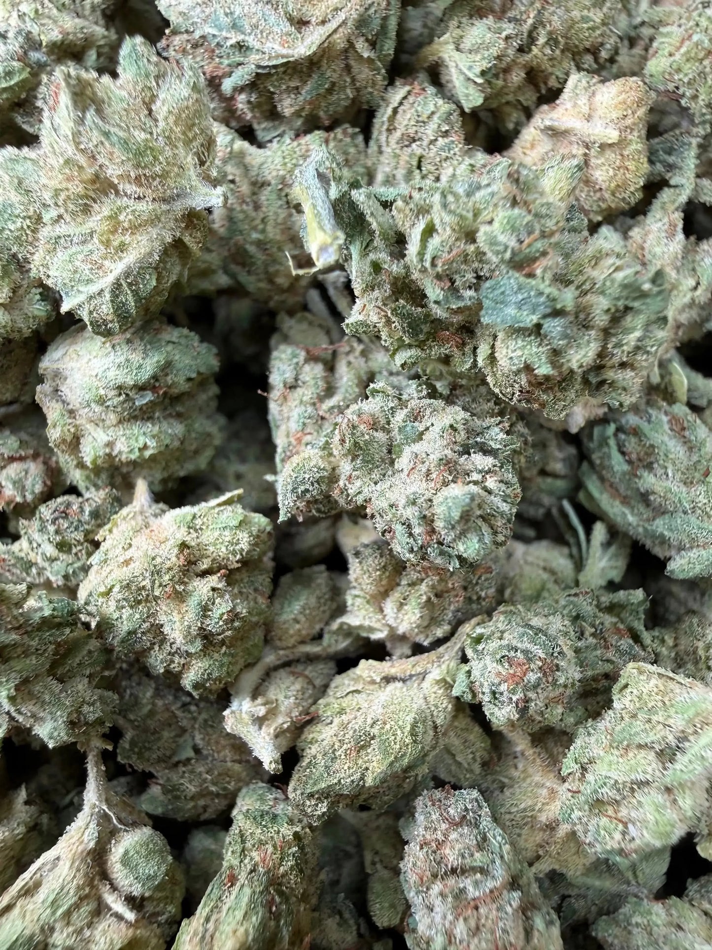 1 Pound -  Graff Gazz THCA Strain Frisco Labs