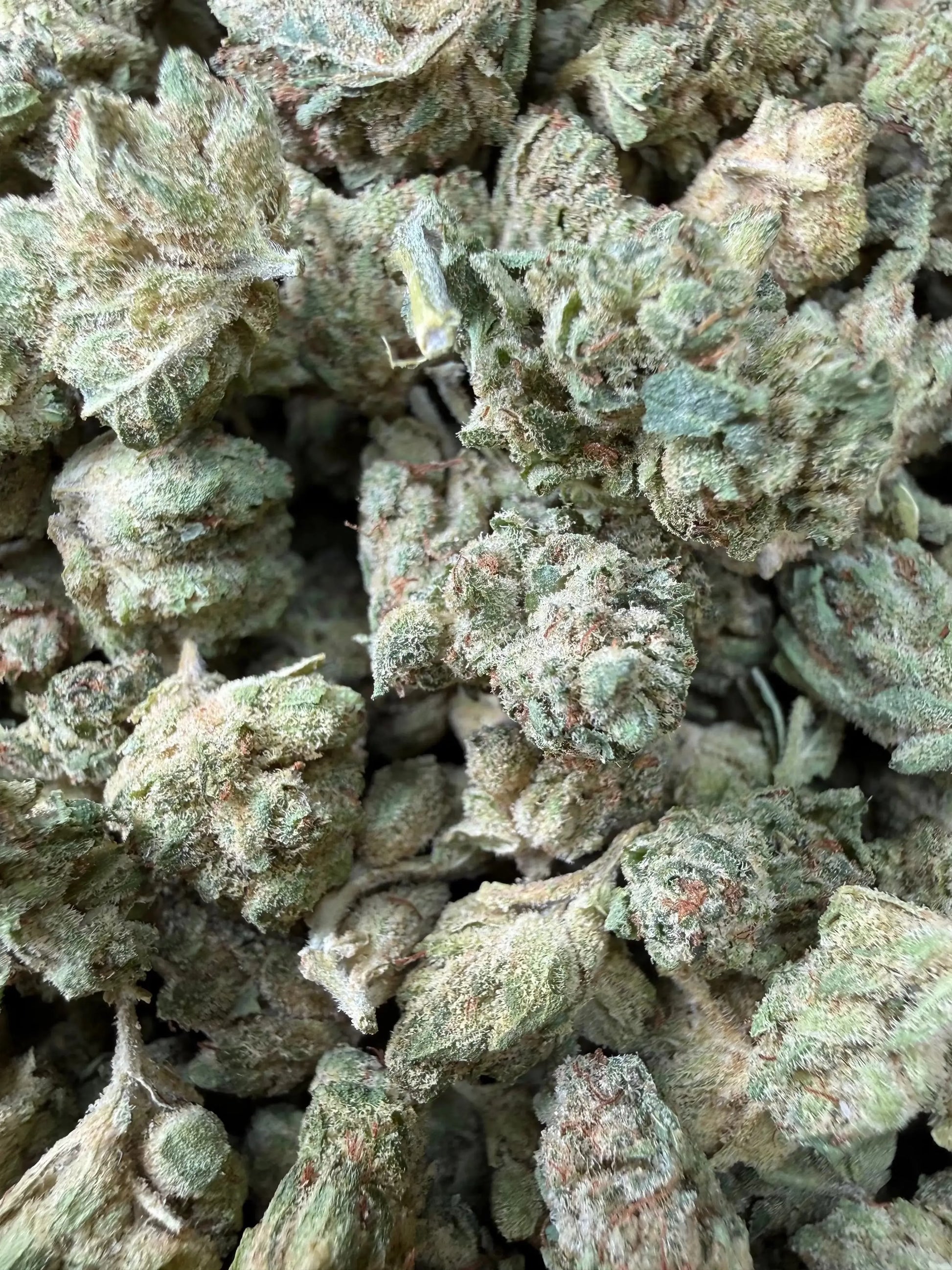 1 Pound -  Graff Gazz THCA Strain Frisco Labs