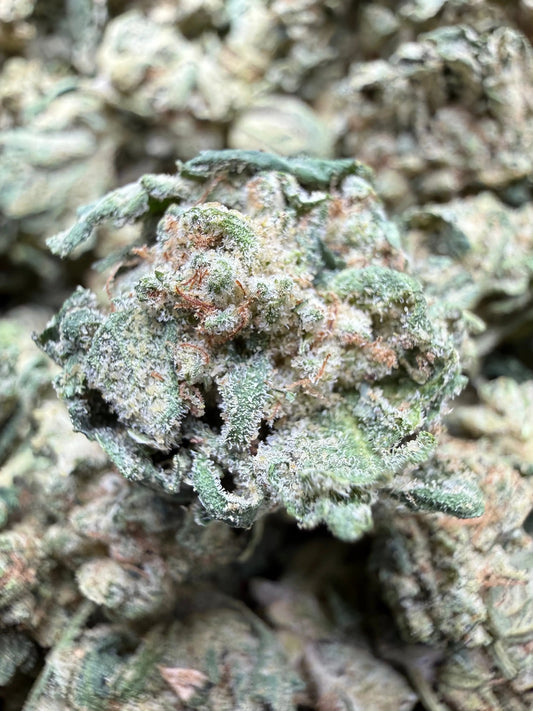 1 Pound - LA Push Pops THCA Strain (Smalls) Frisco Labs