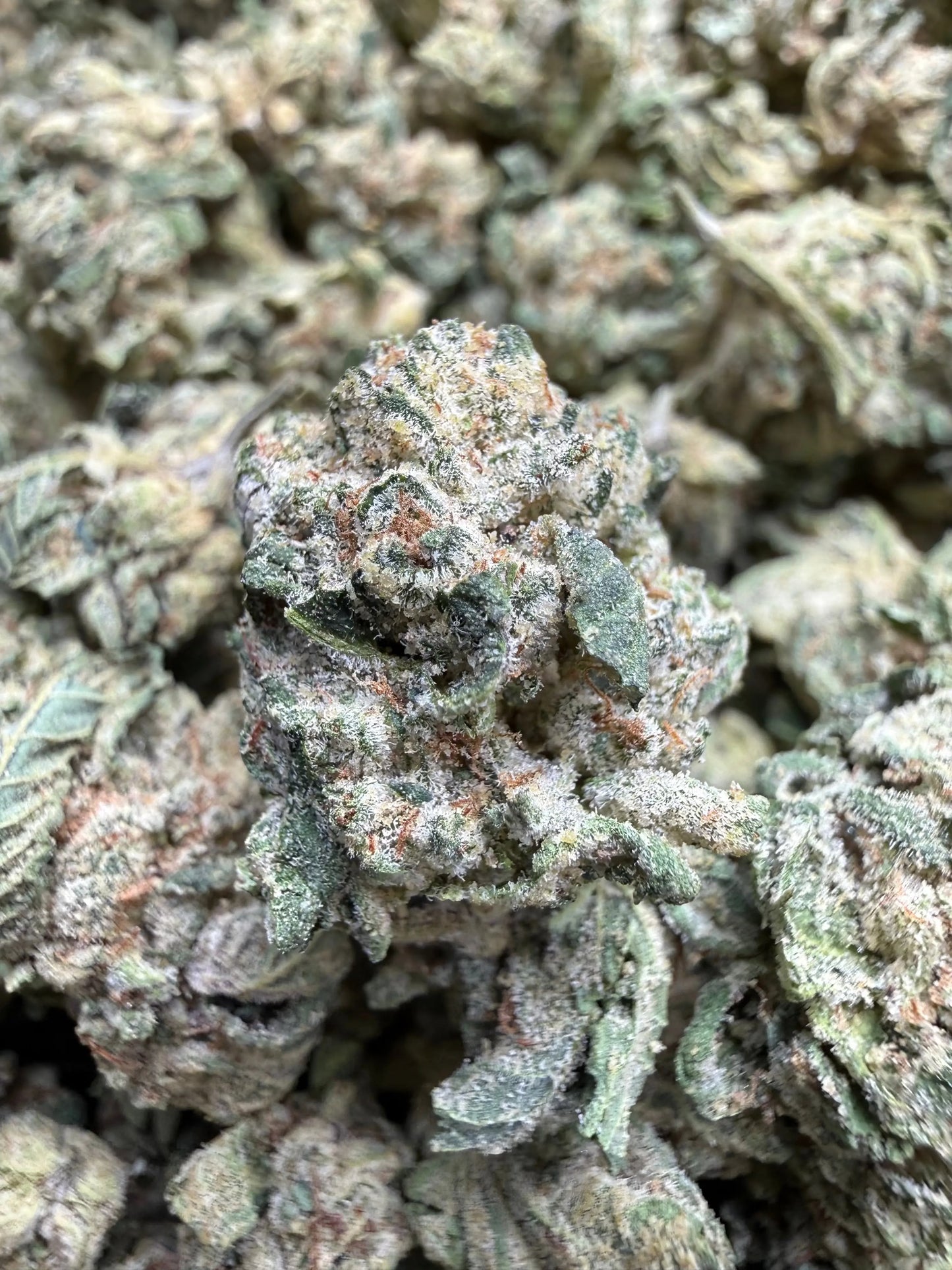 1 Pound - LA Push Pops THCA Strain (Smalls) Frisco Labs