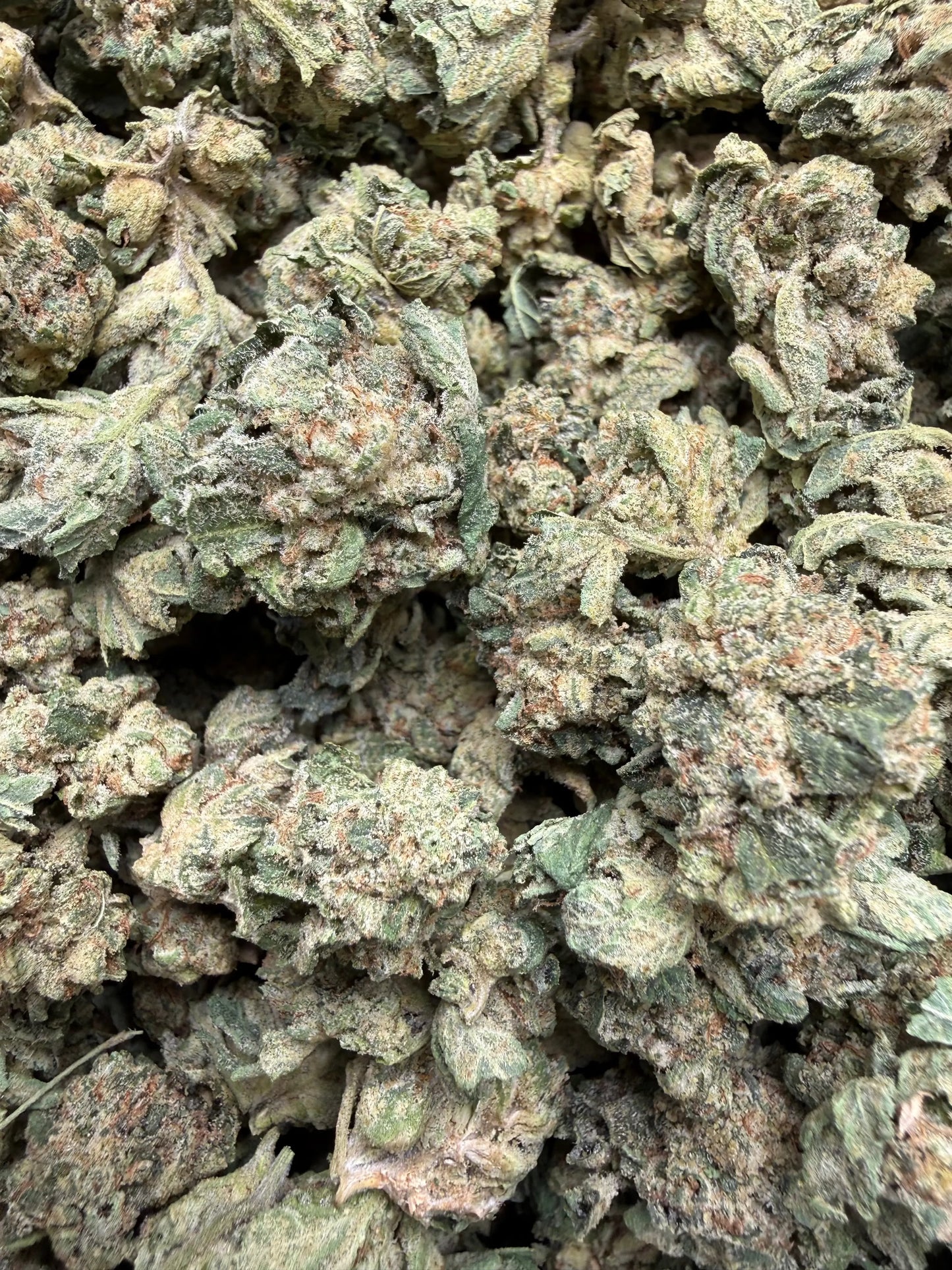 1 Pound - LA Push Pops THCA Strain (Smalls) Frisco Labs