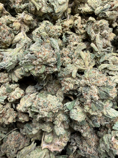 1 Pound - LA Push Pops THCA Strain (Smalls) Frisco Labs