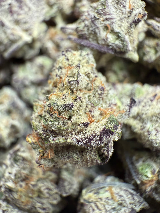 1 Pound - Los Angeles Cake THCA Small FL Fulfillment Center