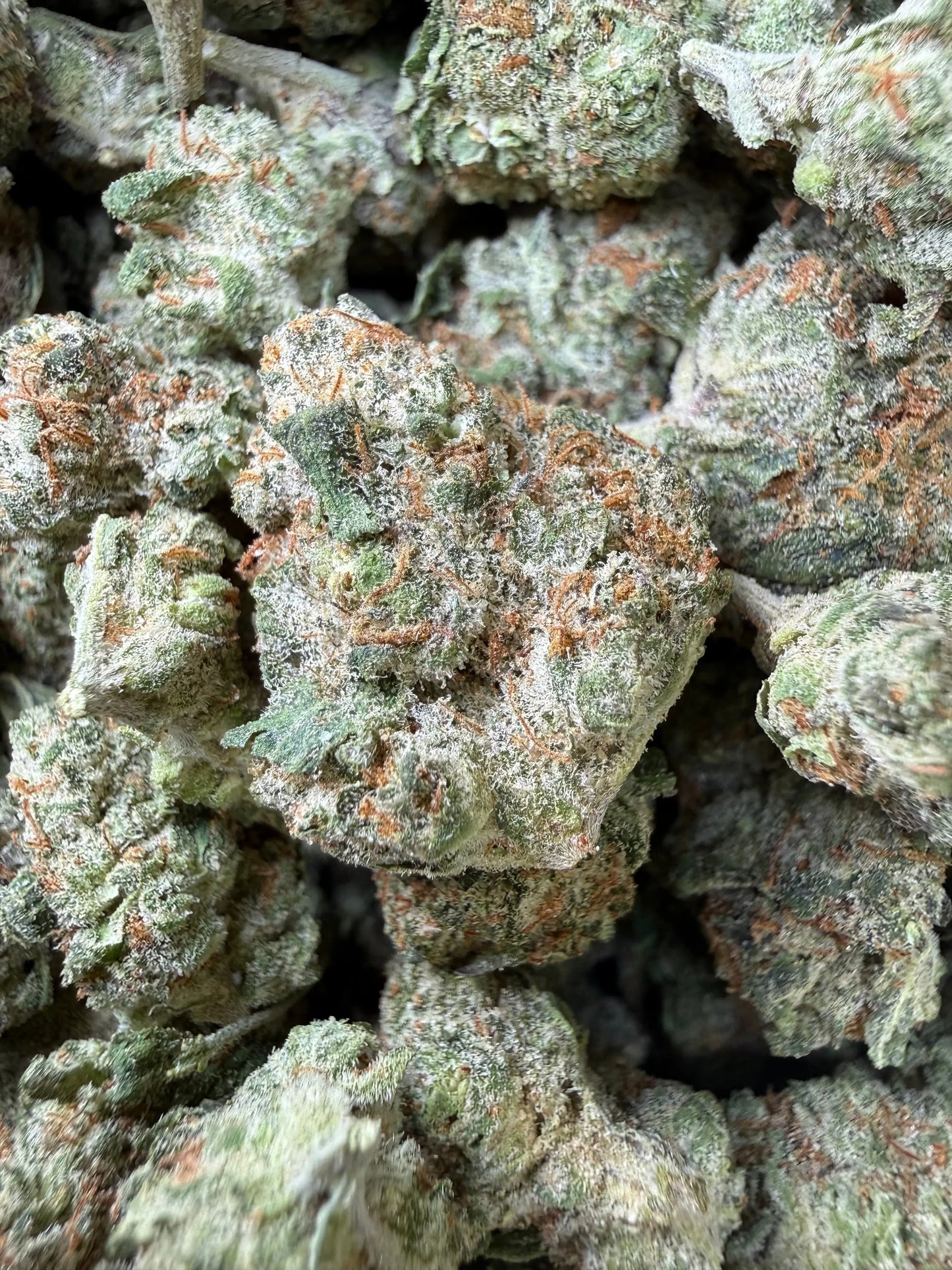 1 Pound - Mango Tango THCA Strain (Smalls) Frisco Labs