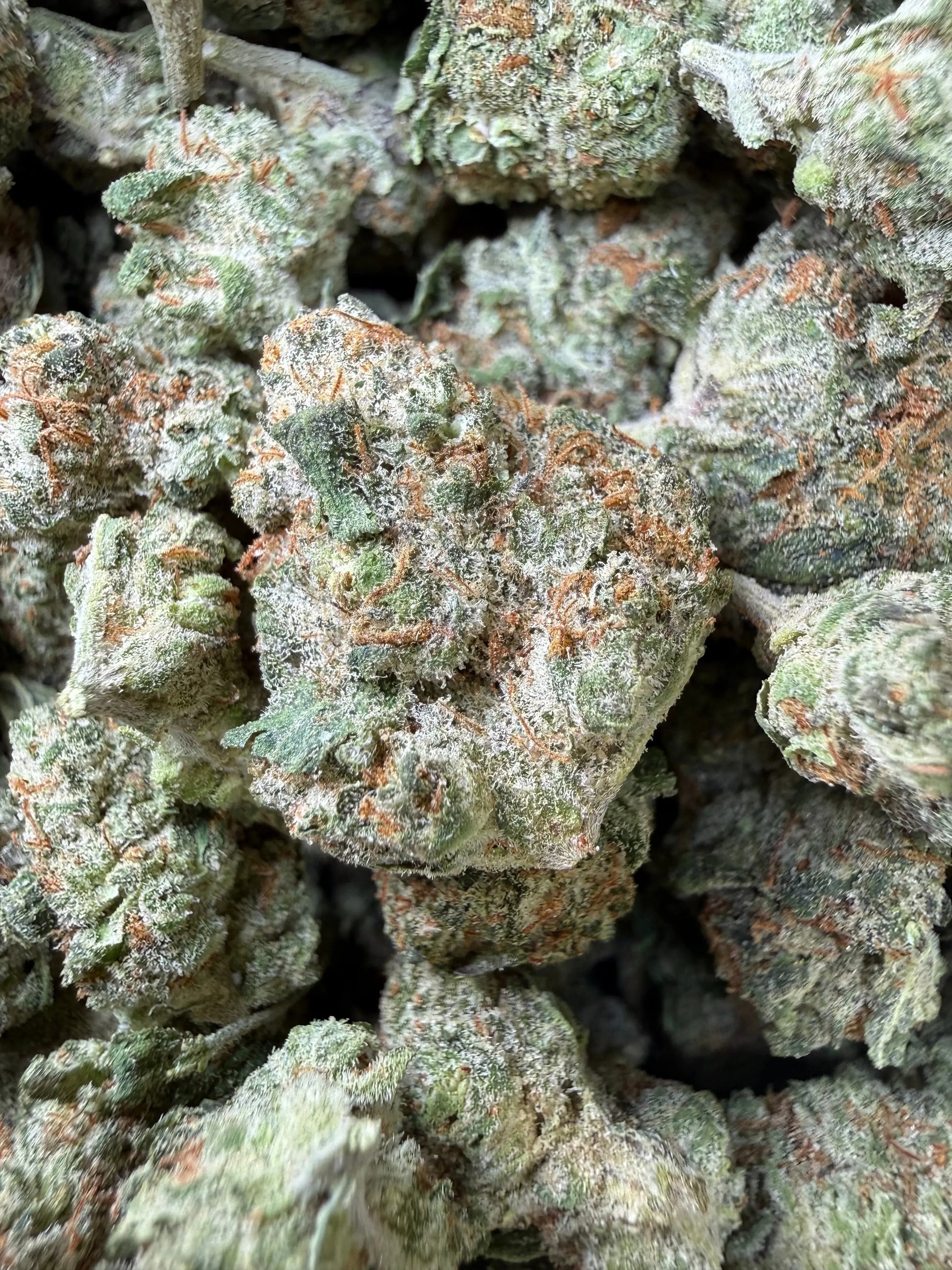 1 Pound - Mango Tango THCA Strain (Smalls) Frisco Labs