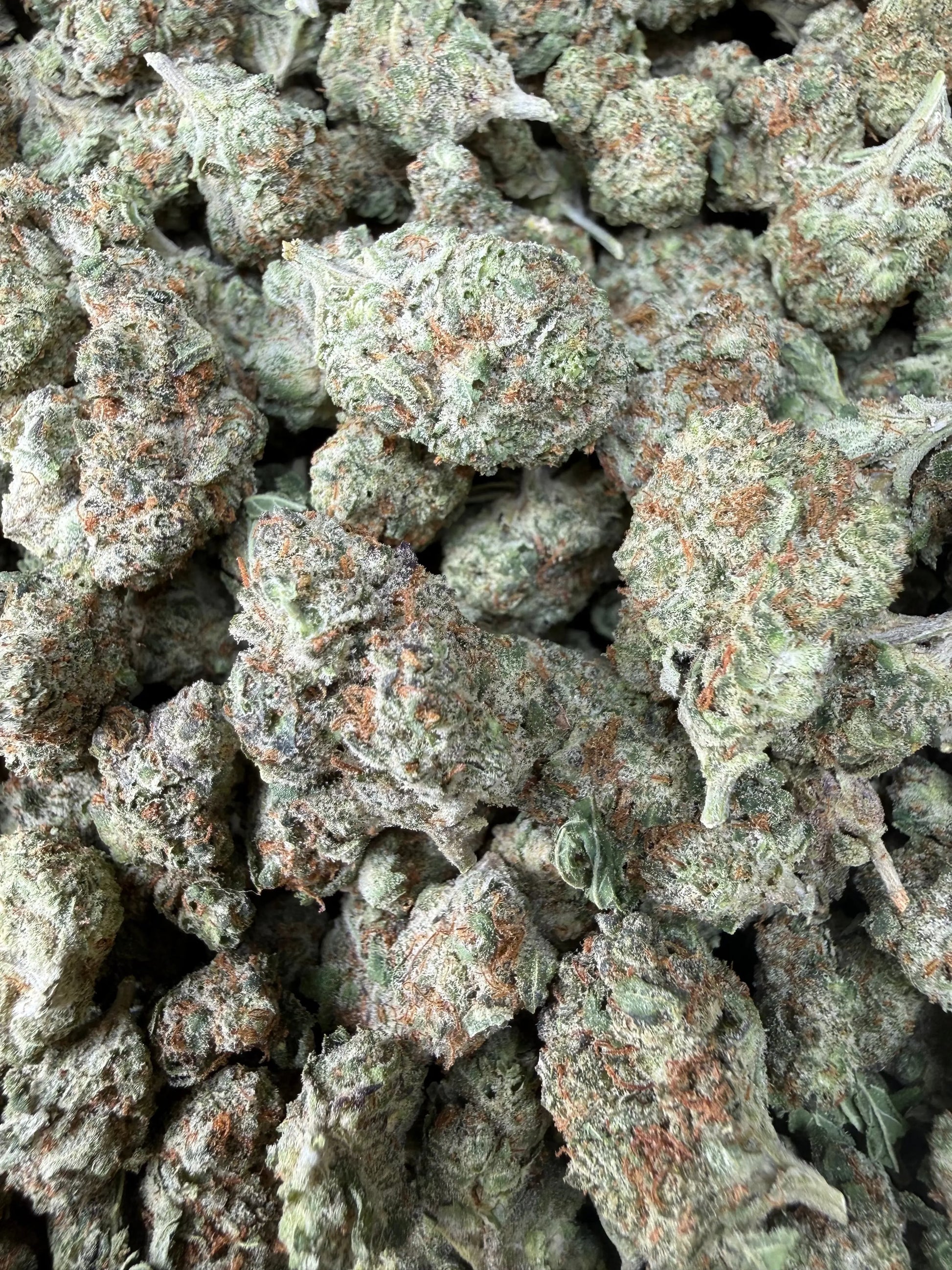 1 Pound Mango Tango THCA Strain | AAA THCA Smalls – Frisco Labs