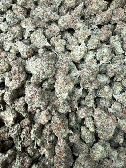 1 Pound - Mango Tango THCA Strain (Smalls) Frisco Labs