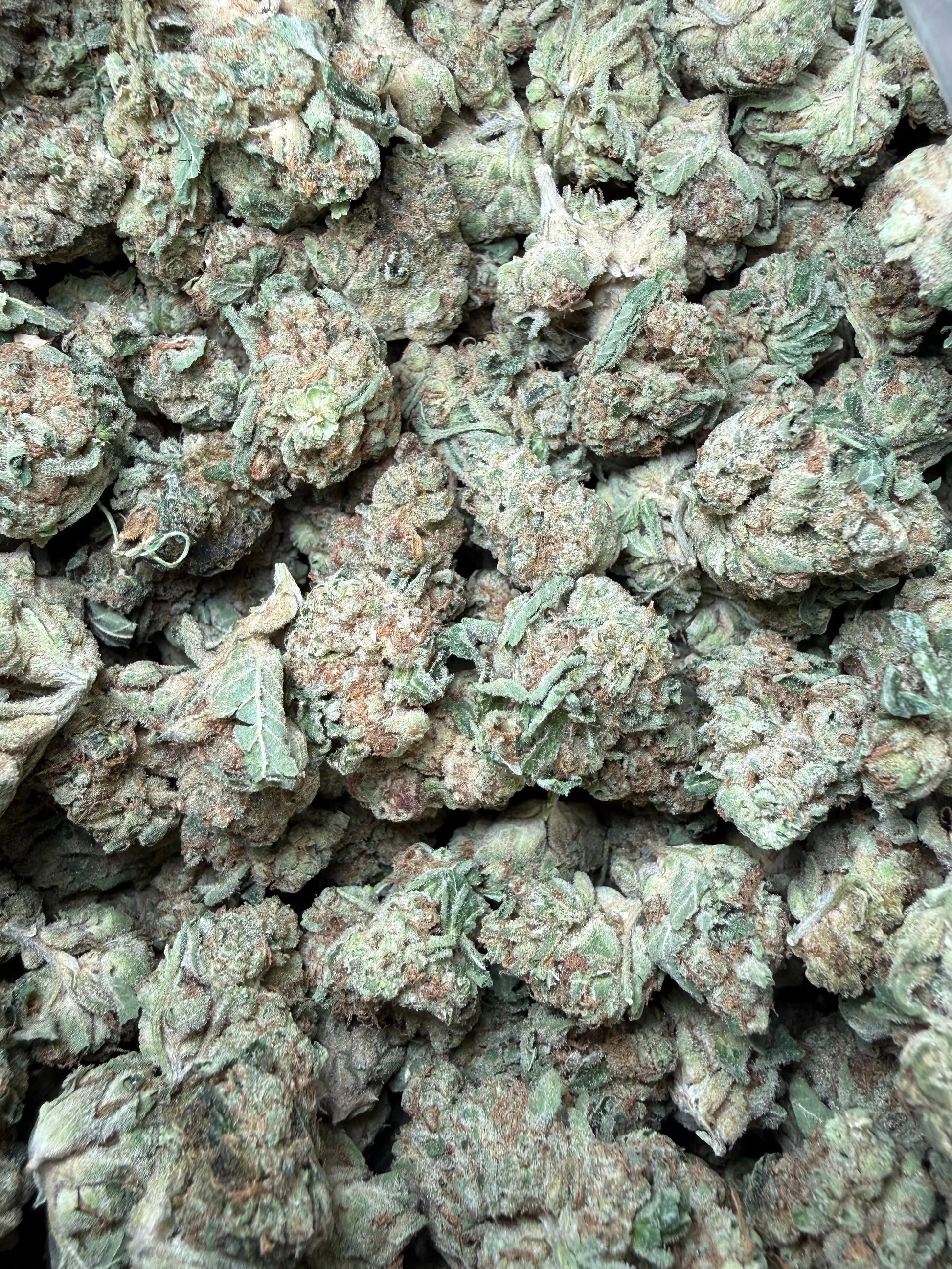 1 Pound -  Melted Banana Berry Strain Frisco Labs