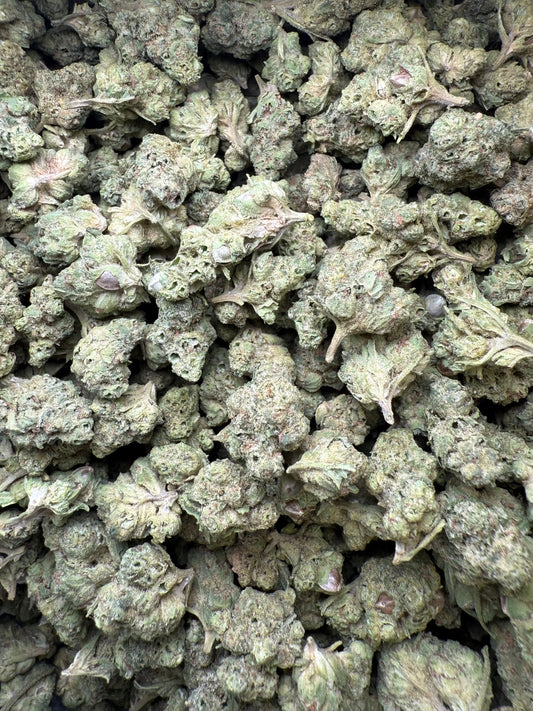 1 Pound - Mendo Montage THCA Strain (Smalls) Frisco Labs
