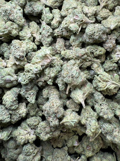 1 Pound - Mendo Montage THCA Strain (Smalls) Frisco Labs