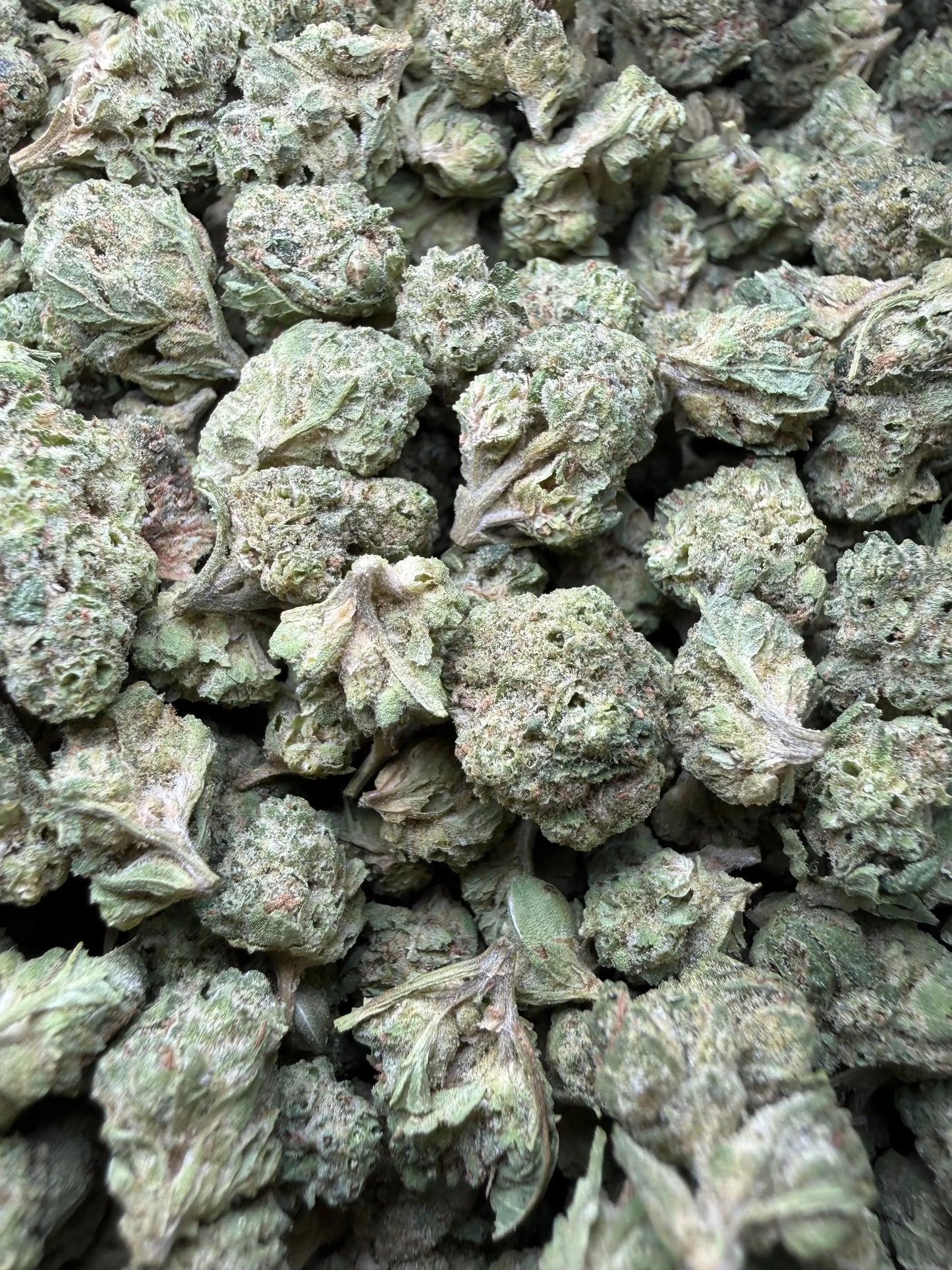1 Pound - Mendo Montage THCA Strain (Smalls) Frisco Labs