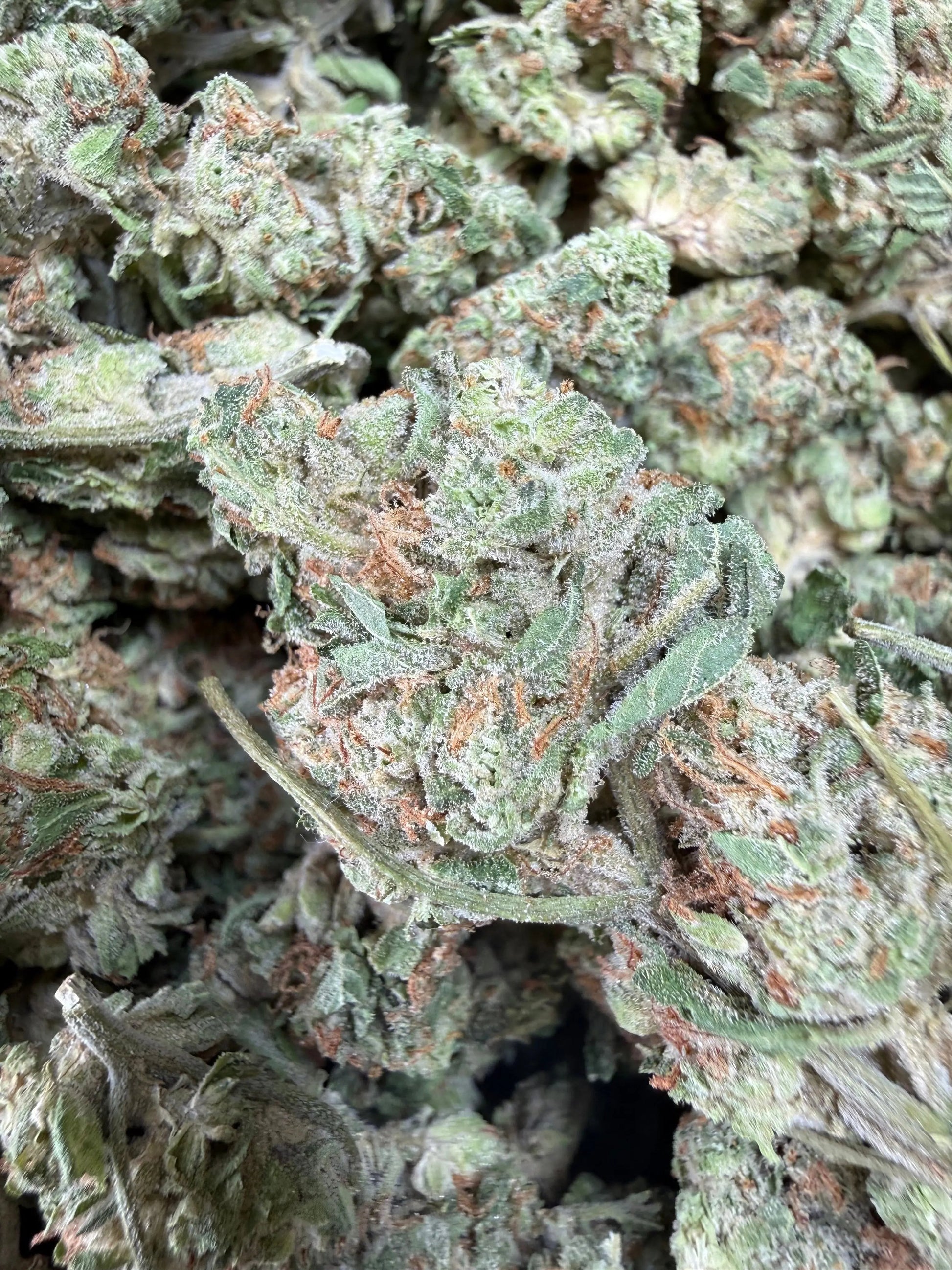 1 Pound -  Midnight Fuel THCA Strain Frisco Labs