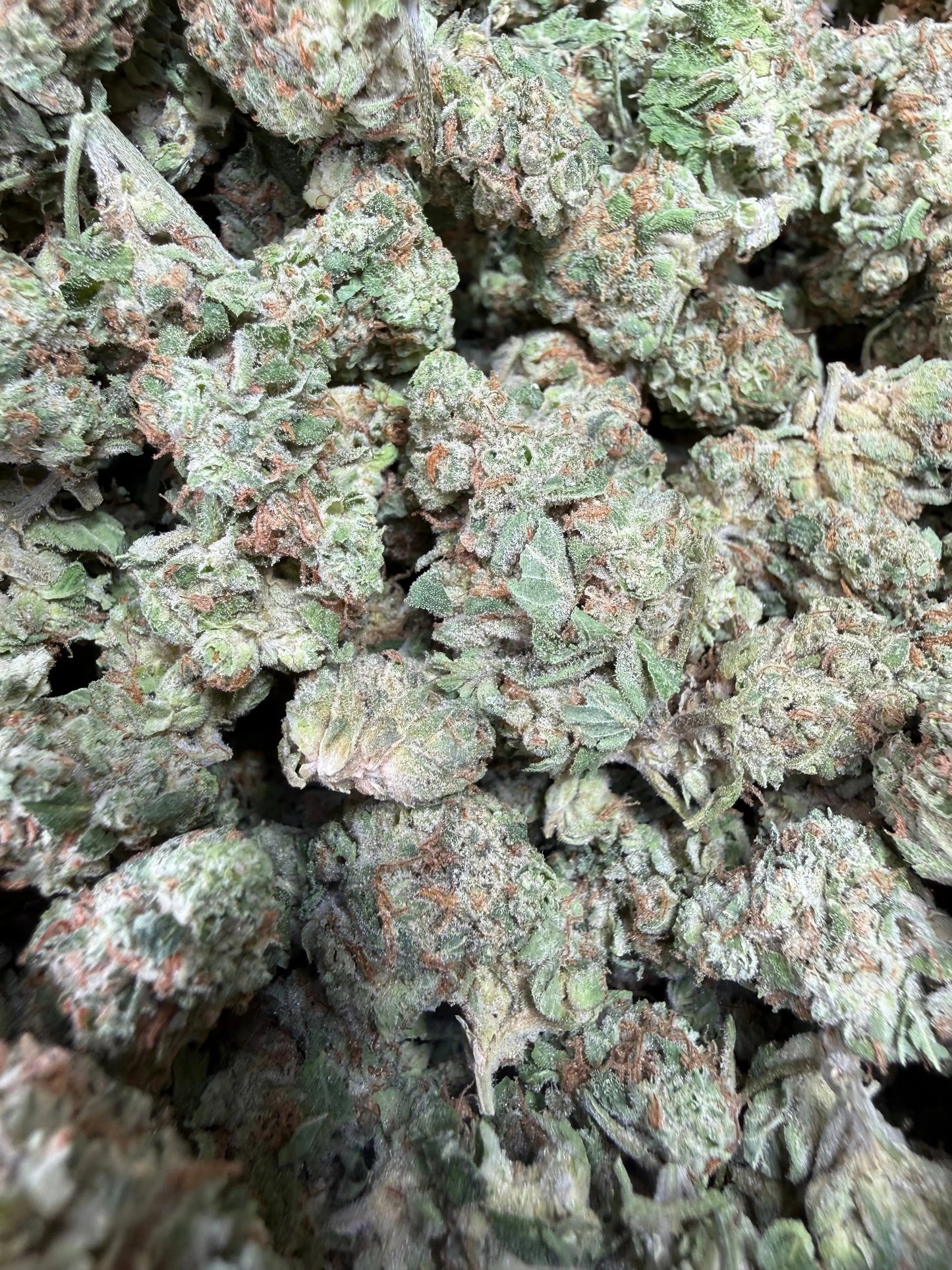 1 Pound -  Midnight Fuel THCA Strain Frisco Labs