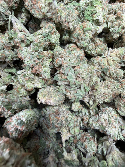 1 Pound -  Midnight Fuel THCA Strain Frisco Labs